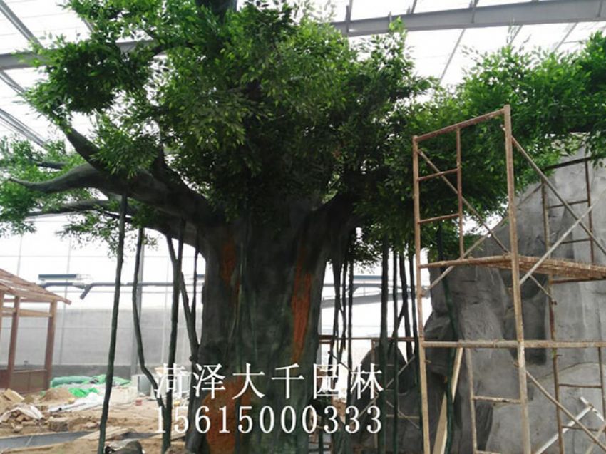 點(diǎn)擊查看詳細(xì)信息<br>標(biāo)題：假樹 閱讀次數(shù)：1208