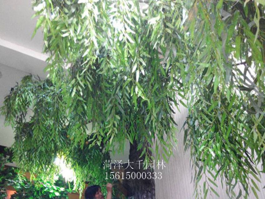 點擊查看詳細(xì)信息<br>標(biāo)題：假樹 閱讀次數(shù)：1263