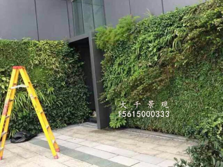 點擊查看詳細信息<br>標題：綠植墻 閱讀次數(shù)：1314
