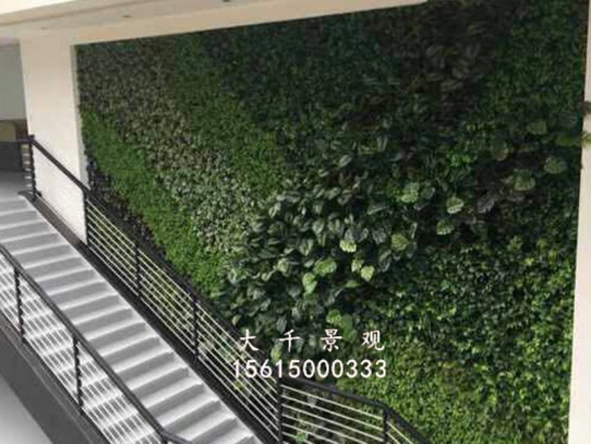 點擊查看詳細信息<br>標題：綠植墻 閱讀次數(shù)：1469