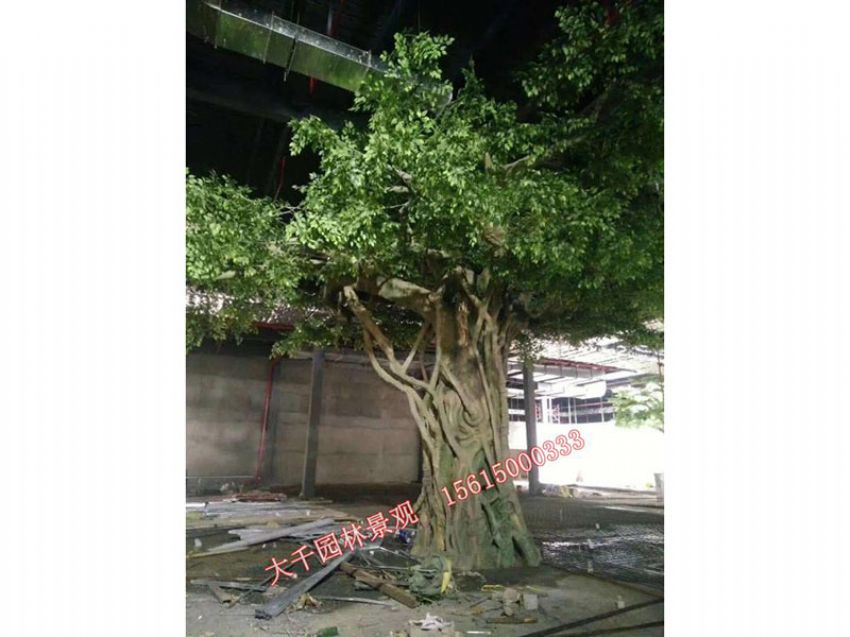 點(diǎn)擊查看詳細(xì)信息<br>標(biāo)題：假樹(shù) 閱讀次數(shù)：2014